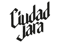 Diseño-web-Ciudad-Jara
