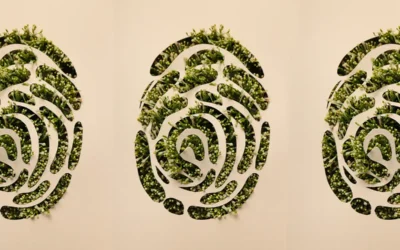 La importancia de la sostenibilidad en marketing